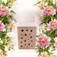 Bienenstarter